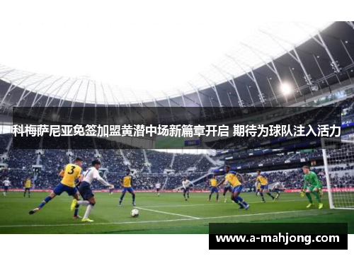 科梅萨尼亚免签加盟黄潜中场新篇章开启 期待为球队注入活力 科梅萨尼亚免签加盟黄潜中场新篇章开启 期待为球队注入活力