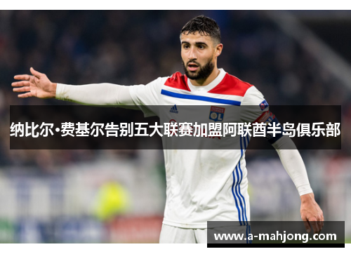 纳比尔·费基尔告别五大联赛加盟阿联酋半岛俱乐部 纳比尔·费基尔告别五大联赛加盟阿联酋半岛俱乐部